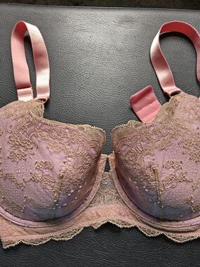 Dora Larsen Padded Underwire Bra